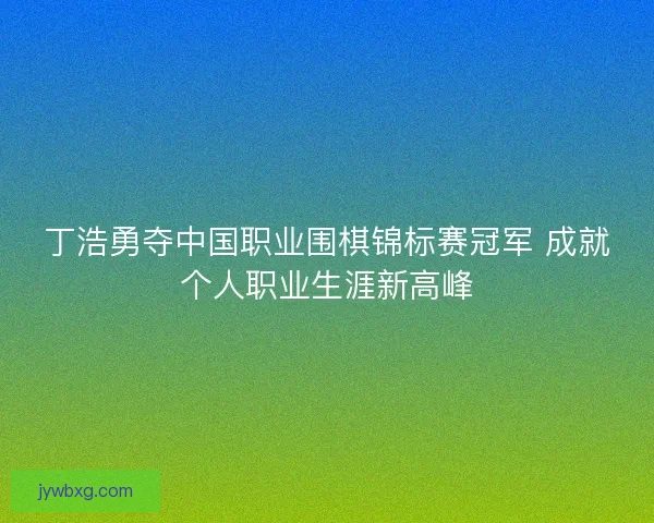 丁浩勇夺中国职业围棋锦标赛冠军 成就个人职业生涯新高峰
